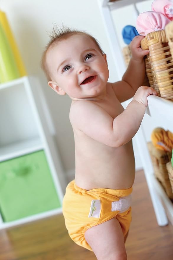 bumGenius One-Size Hook & Loop Closure Cloth Diaper 4.0 - Blossom