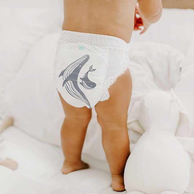 Parasol Clear+Dry Diaper Pants | Natural Training Diapers | Pure Ingredients, Water Based Ink, Non-Woven Fabric with Dermatest Excellent Seal | Rash Protection Diaper Set, Size 6 (35+ lbs.) 36 Ct