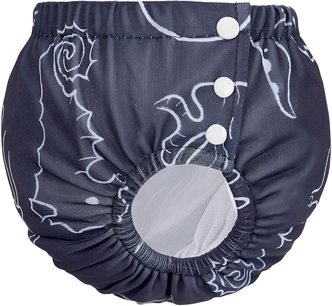 Century Star Baby Reusable Swim Diapers, Pool Swimming Diapers for Toddler Boys Girls, Washable Swimming Pants, Size 2-3, 1 Count