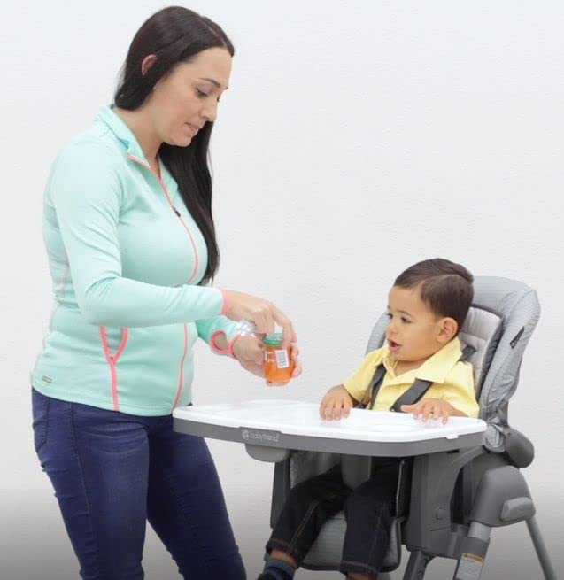 Baby Trend Aspen ELX High Chair, Farmers Market