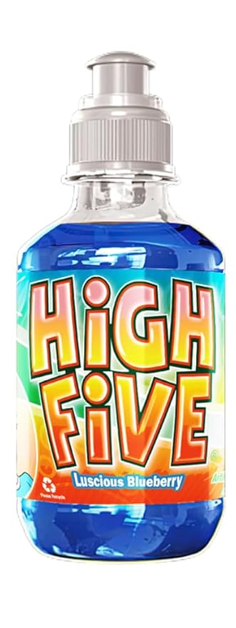 High Five Blueberry Flavored Juice Drink – 10.1 oz Bottles, Naturally Sweetened with Vitamin C, Low-Calorie Fruit Juice Beverages with Spill Proof Sports Cap (Pack of 24)
