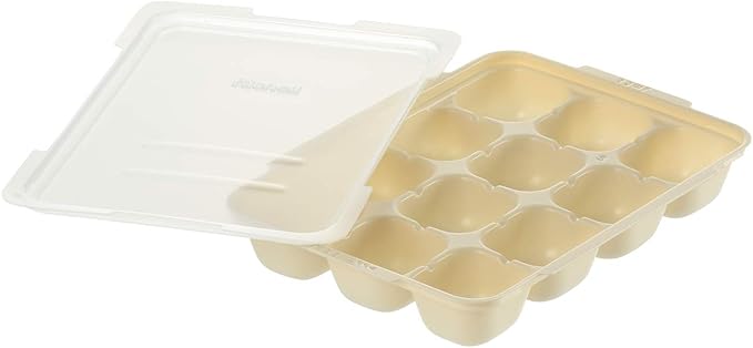 リッチェル(Richell) Tsukurioki Subdivided Freezing Pack, 15, Set of 2, Ivory