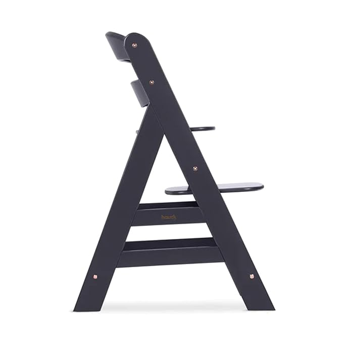 hauck Alpha+, Dark Grey - Wooden High Chair Made of Beech for Children from 6 Months up to 90 kg - Includes 5-Point Strap, Crotch Strap, Protective Bar - Compatible with Many Accessories