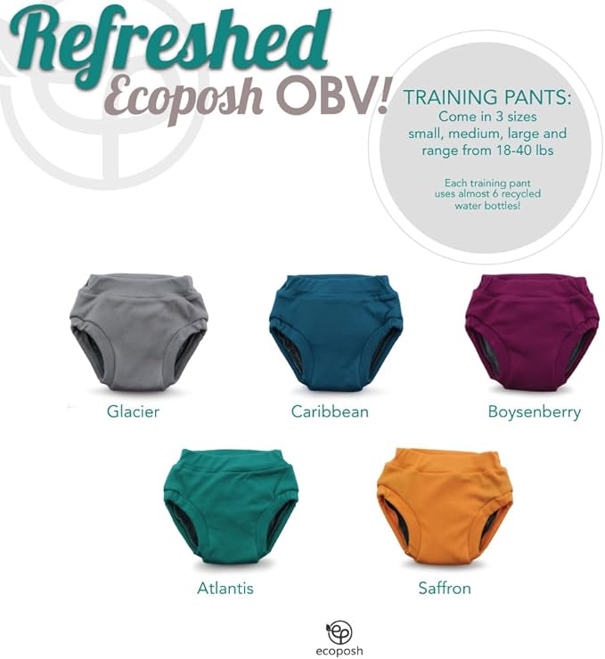 Kanga Care Ecoposh OBV Reusable Pull Up Toddler Underwear Potty Training Pants | Glacier Small 1T/2T