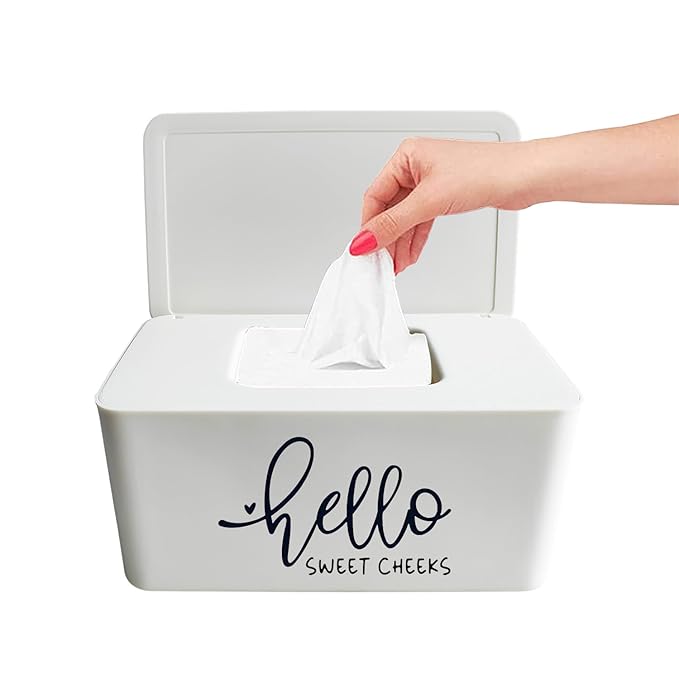 Moorfowl Hello Sweet Cheeks Flushable Wipes Dispenser, 8.2L x 4.9W x 3.9H inches, Bathroom Wipes Container Holder Cute Funny Rustic Farmhouse Home Decor (White)