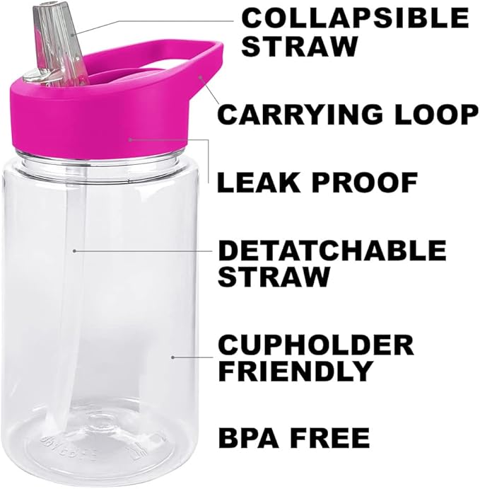 LOGOVISION Sesame Street Kids Tritan Plastic Water Bottle with Straw Lid and Handle, Reusable Tumbler for Toddlers, Unisex for Girls and Boys, 12oz, Abby Head Pattern