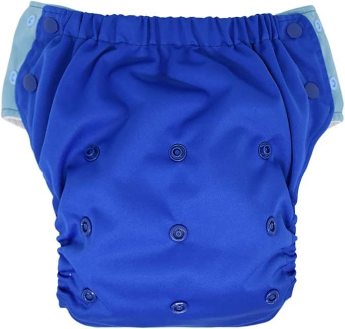 EcoAble Reusable Potty Training Diaper with Insert, Daytime Pull-on Cloth Training Pants for Toddlers and Big Kids (Size 2, Blue)