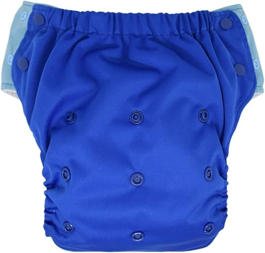EcoAble Reusable Potty Training Diaper with Insert, Daytime Pull-on Cloth Training Pants for Toddlers and Big Kids (Size 2, Blue)