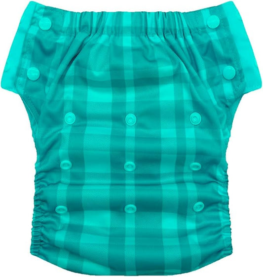 EcoAble Reusable Potty Training Diaper with Insert, Daytime Pull-on Cloth Training Pants for Toddlers and Big Kids (Size 2, Cars)