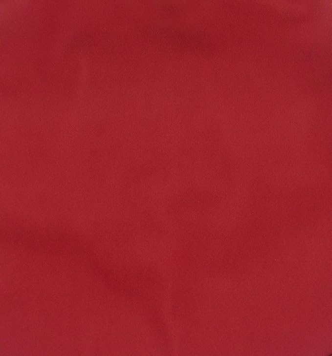 BapronBaby Minimalist Cranberry Wet Dry Bag - Waterproof Two Zipper Pockets - Reusable for Mealtime, Diapers, Stroller, Snacks, Swimsuits - Machine Washable - 11" x 9"