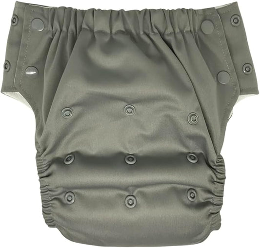 EcoAble Reusable Potty Training Diaper with Insert, Daytime Pull-on Cloth Training Pants for Toddlers and Big Kids (Size 2, Grey)