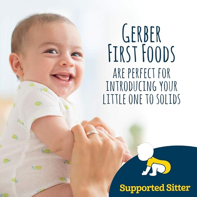 Gerber Snacks for Baby Teethers and Gerber My 1st Fruits Starter Kit (Set of 6)