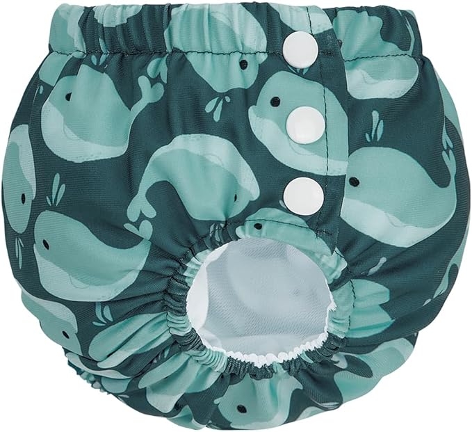 Century Star Baby Reusable Swim Diapers, Pool Swimming Diapers for Toddler Boys Girls, Washable Swimming Pants, Size 2-3, 1 Count
