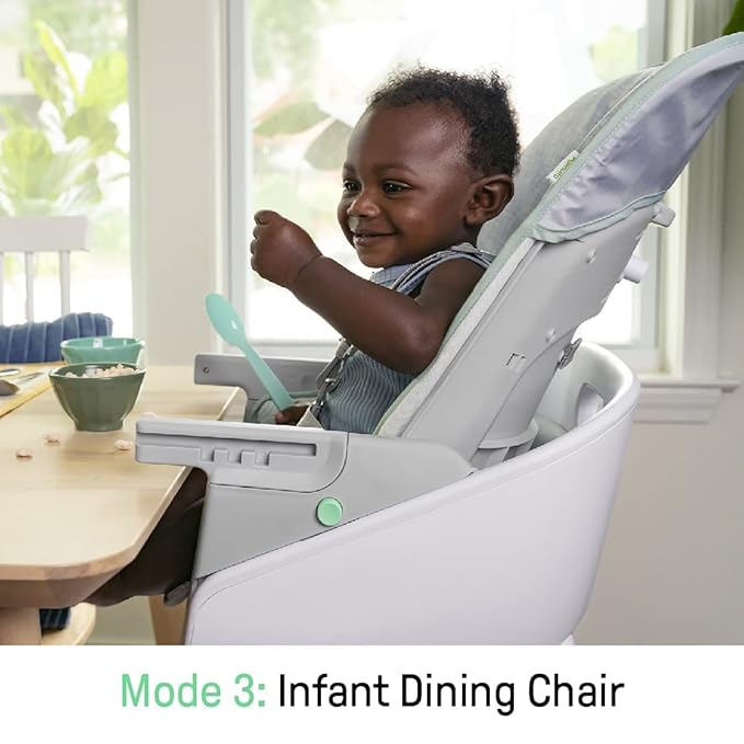 Ingenuity Beanstalk Baby to Big Kid 6-in-1 High Chair Converts from Soothing Infant Seat to Dining Booster Seat and more, Newborn to 5 Yrs - Ray
