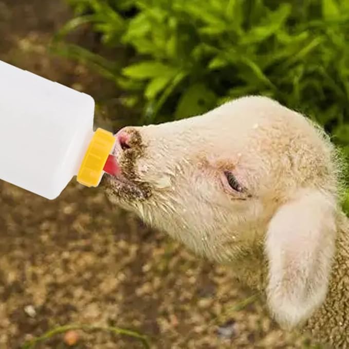Goat Nipple and Bottles Set, 12 Pieces Small Animal Milk Drink Pritchard Nipple 2 Pieces 400 ml Lamb Feeding Bottle Kit for Feeding Sheep Goat Lamb Puppy (White 12)