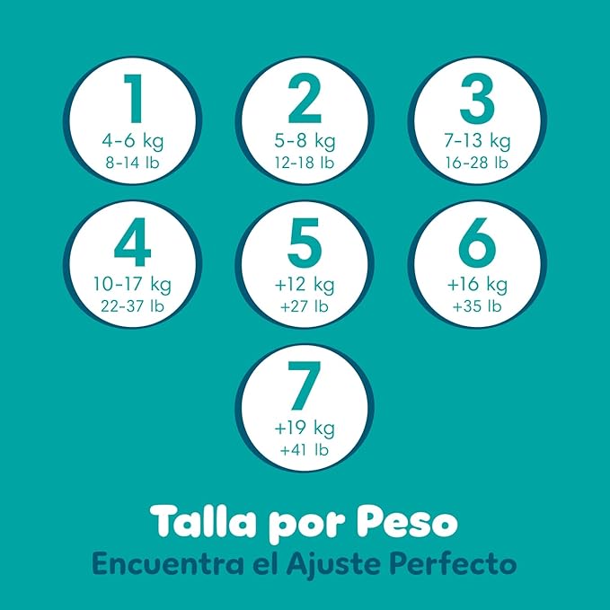 PAMP BDry S7 Super 1/54