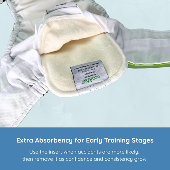 EcoAble Reusable Potty Training Diaper with Insert, Daytime Pull-on Cloth Training Pants for Toddlers and Big Kids (Size 2, Grey)