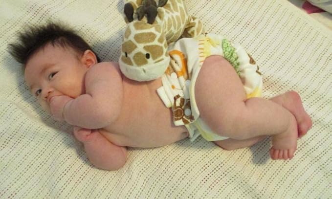 KaWaii Baby One Size Pocket Cloth Diaper Shells, Washable, Reusable, Adjustable, Leakproof, Newborn to Toddler 8-36 lbs Animal Learning Bundle, Pack of 20