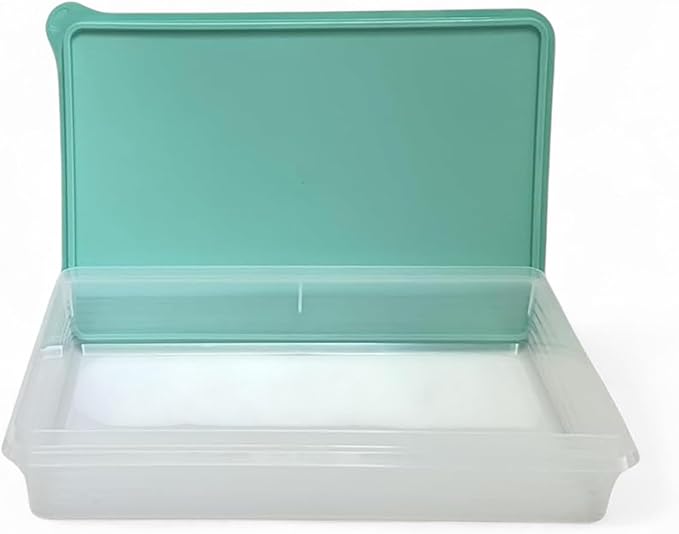 Tupperware Snack-Stor Large in Mint Ice Cream