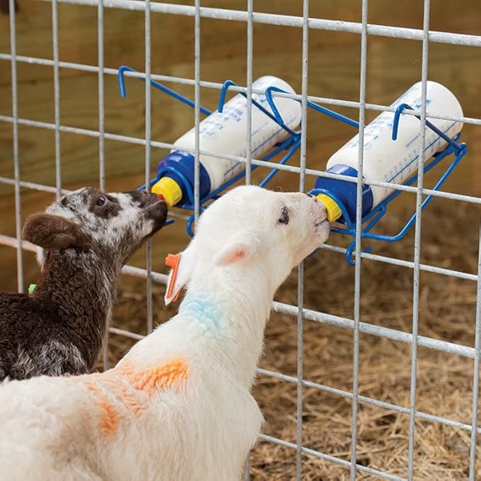 Premier 1 Bottle Rack for Lamb 'N' Goat Kid Bottles