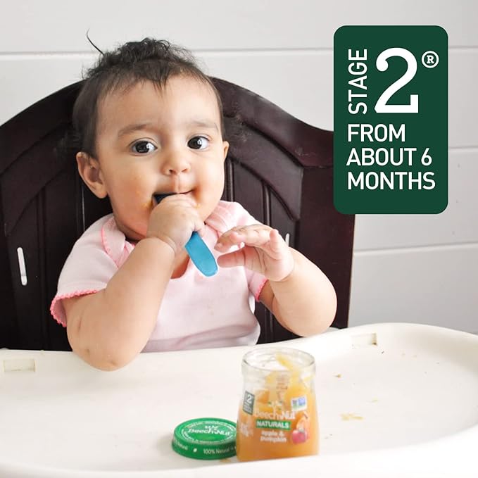 Beech-Nut Baby Food Pouches, Pumpkin Zucchini Apple Veggie Puree Baby & Toddler Food, 3.5 oz (24 Pack)
