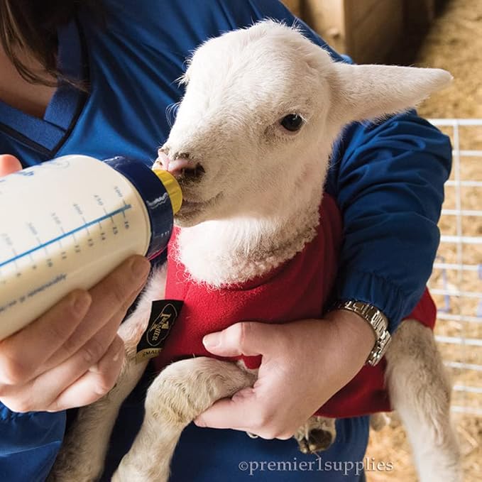 Premier 1 Lamb 'N' Goat Kid Wide-Mouth Feeding Bottle (Bottle & Pritchard Teat)