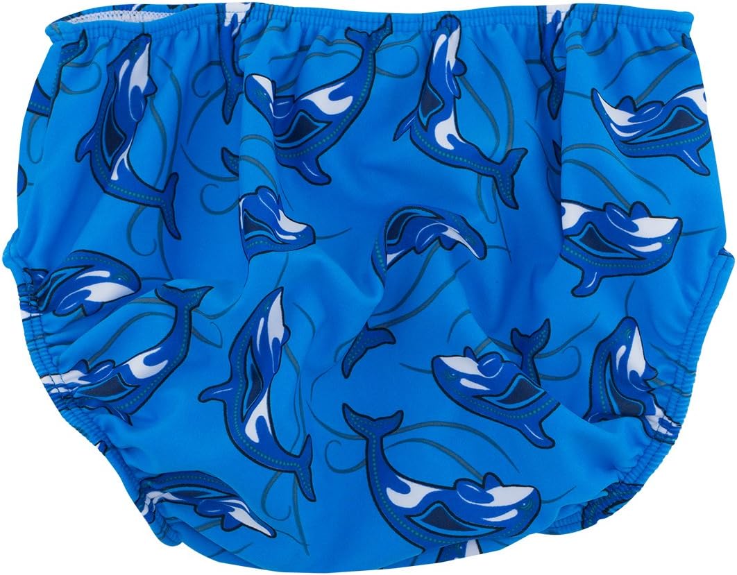 SunBusters Boy's Reusable Swim Diaper 2 Pack, Sky Orca, Small