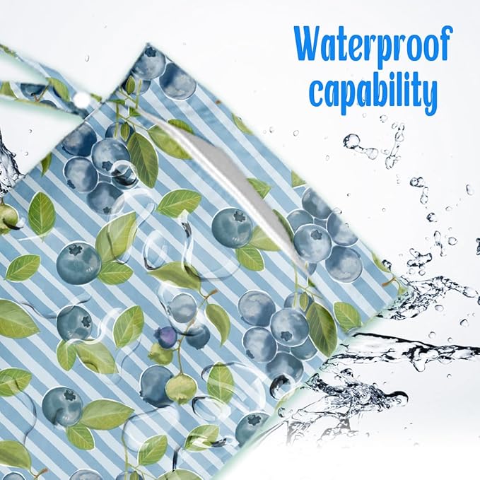 Wet Dry Wet Bag for Swimsuit Towel Baby Travel Cloth Diapers Beach Gym Toiletries Makeup Storage Bag Summer Vacation Essential Holiday Summer Blueberry Gift