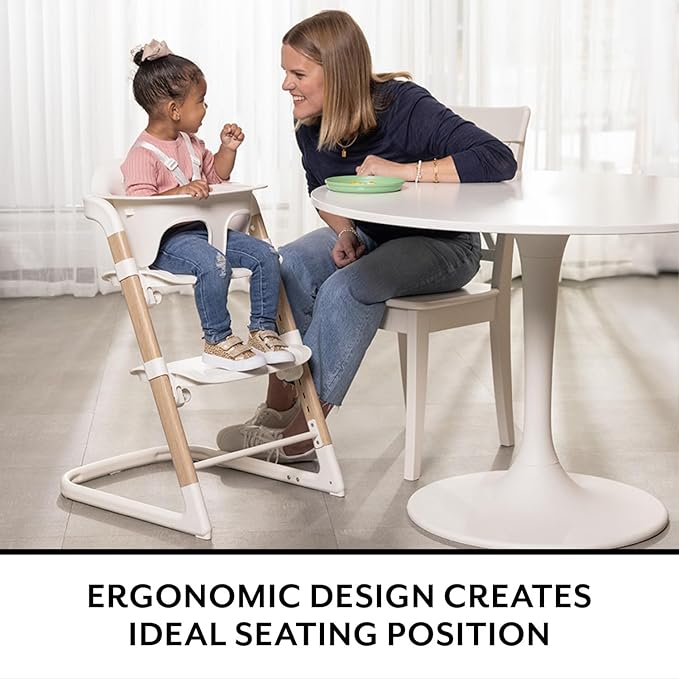 Evenflo RightSeat Multistage High Chair (Sage Green)