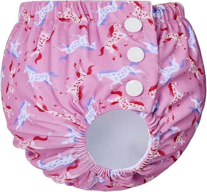 Century Star Baby Reusable Swim Diapers, Pool Swimming Diapers for Toddler Boys Girls, Washable Swimming Pants, Size 2-3, 1 Count