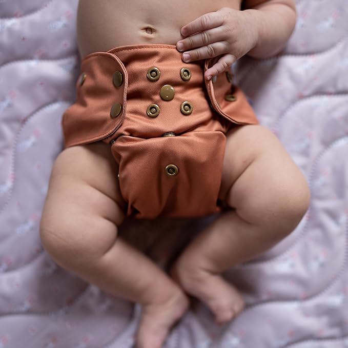 Kinder Cloth Diapers Reusable Baby Diapers Pocket Style Athletic Wicking Jersey, Wet Bag, Newborn to Potty Training 7-60lbs, One Size, Inserts NOT Included (Forest Fairytale, 5 Pack, Without Inserts)