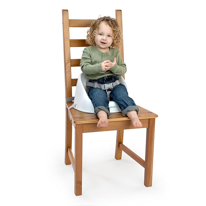 Ingenuity: ity by Ingenuity Simplicity Seat Easy-Clean Baby Booster Feeding Chair, 3-Point Harness, Washable Removable Straps - Grey