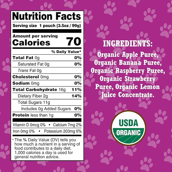Paw Patrol Really Raspberry Organic Mixed Fruit Squeeze Pouch, 3.5 Ounce (Pack of 10)
