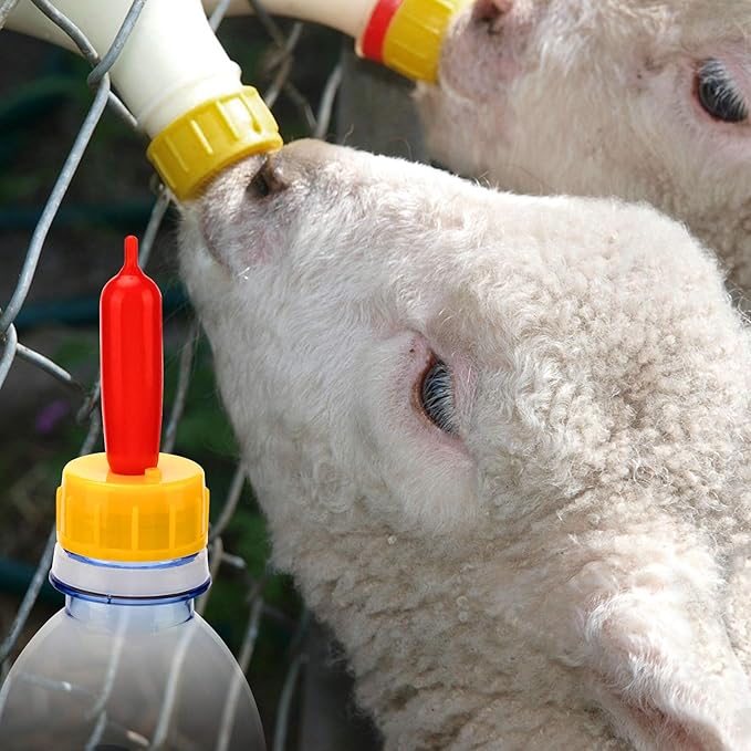 PAGOW 10PCS Nipple for Goats, Small Animal Milk Drink Nipple, Soft Rubber Pacifier for Nursing Lambs and Goat Kids
