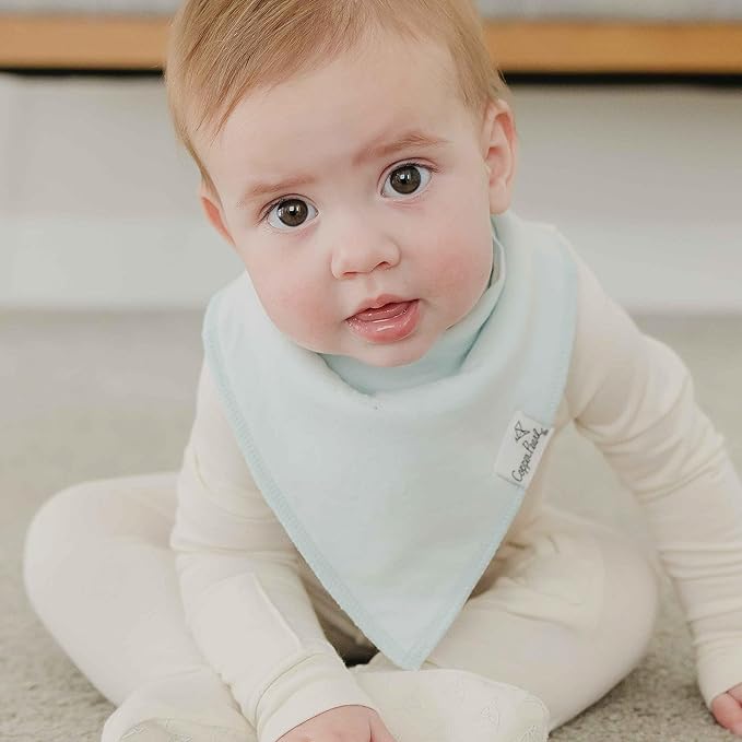 Copper Pearl Baby Bandana Bibs, 4 Pack