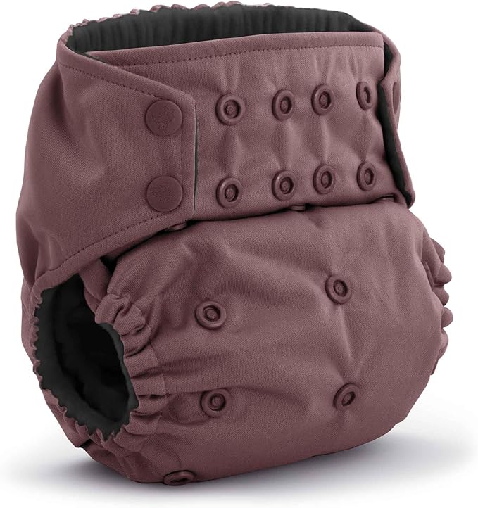 Kanga Care Rumparooz G3 OBV Cloth Diaper Reusable One Size Pocket Diaper with Patented Inner Double Gusset 2 pcs Bamboo Rayon Insert Soaker | Thistle (6-55+ lbs)