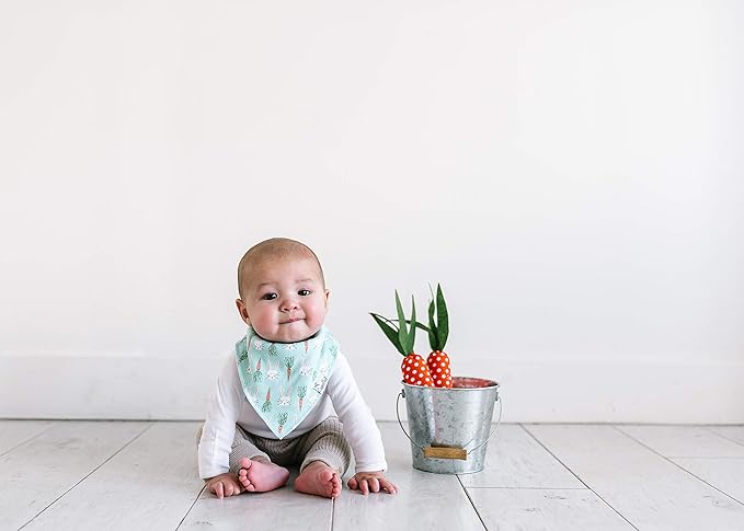 Copper Pearl Baby Bandana Bibs, 4 Pack