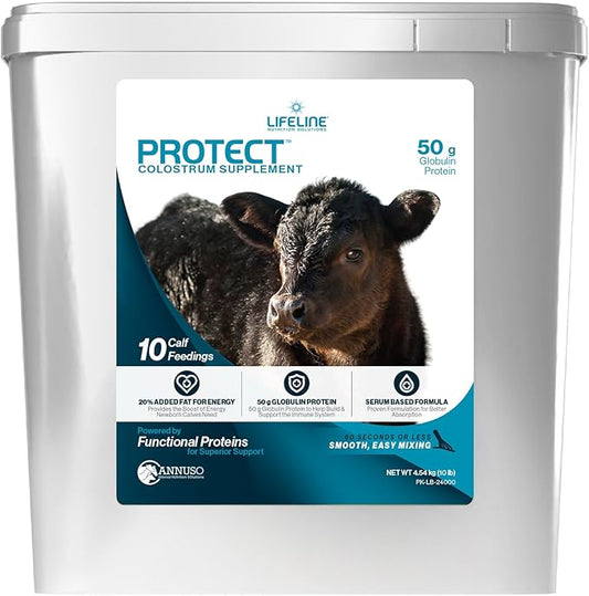 ANNUSO LIFELINE Protect Colostrum Supplement for Calves, 10lb Pail - 50g Globulin Protein per Feeding - 20% Added Fat and Carbohydrates - Immune and Energy Support for Newborn Calves