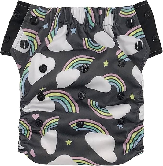 EcoAble Reusable Potty Training Diaper with Insert, Daytime Pull-on Cloth Training Pants for Toddlers and Big Kids (Size 2, Rainbow)