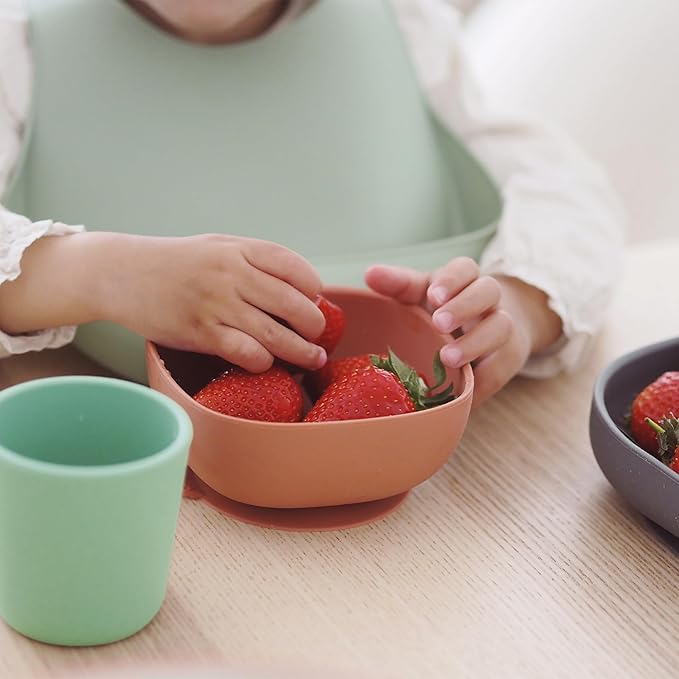 Beaba Silicone Baby Bib, Baby Bibs with Baby Food Catcher, Baby Boy Bibs Baby Girl Bibs, Baby Essentials for Feeding, 2 Pack