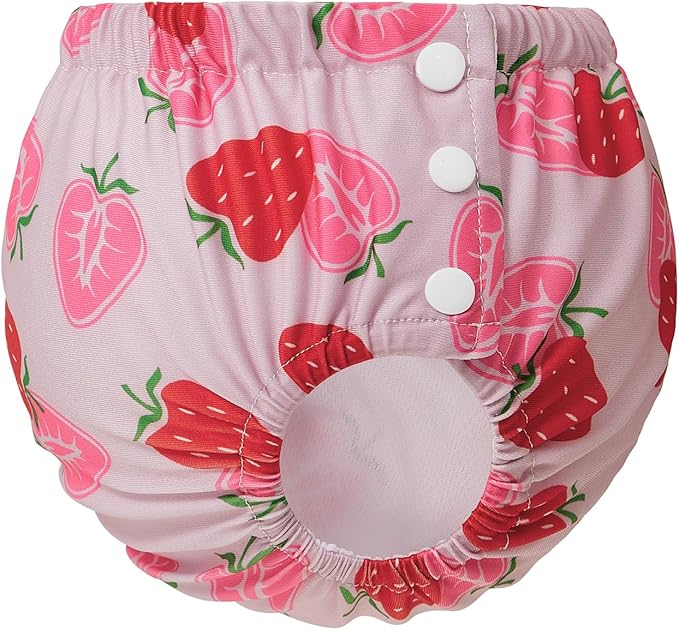 Century Star Baby Reusable Swim Diapers, Pool Swimming Diapers for Toddler Boys Girls, Washable Swimming Pants, Size 2-3, 1 Count