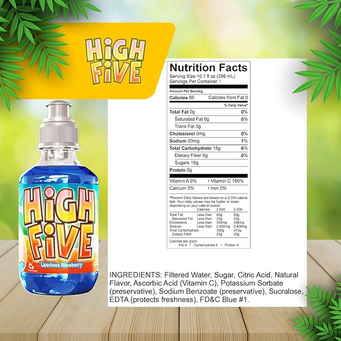 High Five Blueberry Flavored Juice Drink – 10.1 oz Bottles, Naturally Sweetened with Vitamin C, Low-Calorie Fruit Juice Beverages with Spill Proof Sports Cap (Pack of 24)