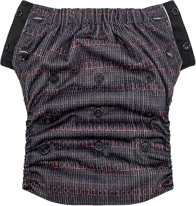 EcoAble Reusable Potty Training Diaper with Insert, Daytime Pull-on Cloth Training Pants for Toddlers and Big Kids (Size 2, Coder)
