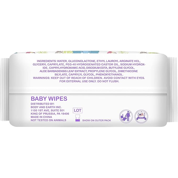 Baby Wipe Wet Wipes, Baby Wipes Unscented, 8 Packs, 640 Count