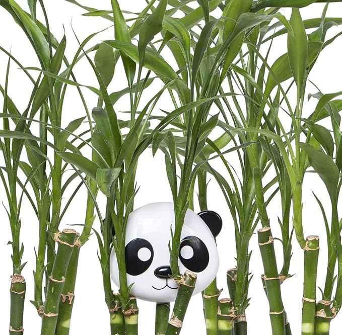 melii Animal Snack Containers with lids - Food Storage for Toddlers and Kids - Panda