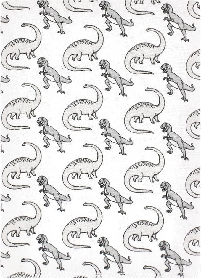 Hudson Baby Unisex Baby Cotton Flannel Burp Cloths Bundle, Neutral Dino World, One Size