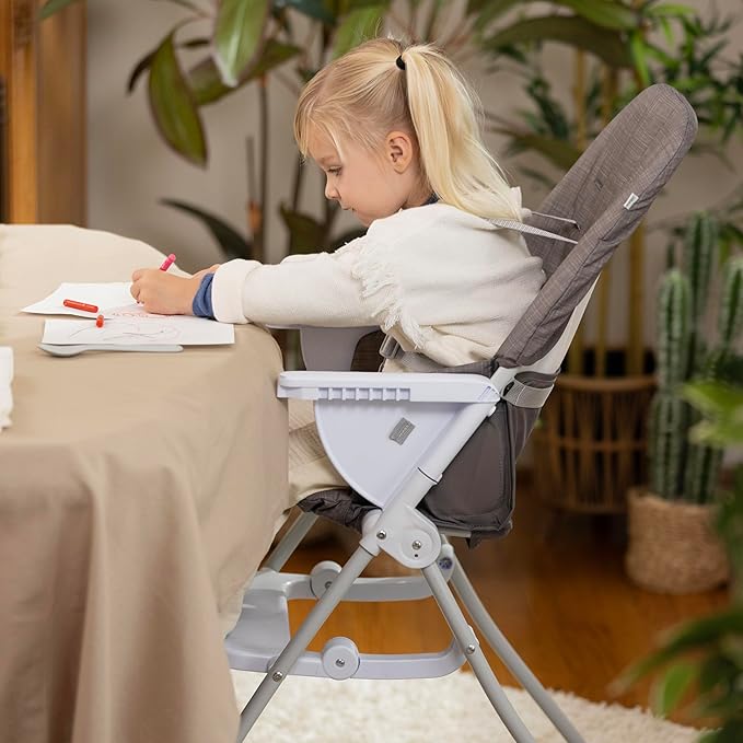 Ingenuity: ity by Ingenuity Sun Valley Compact Folding High Chair, Food-Grade Safe Plate, Safety Harness, for Ages 6 Months and Up, Unisex - Grey