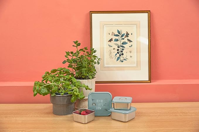 LÄSSIG Garden Explorer Snack Box Set of 3 Stainless Steel
