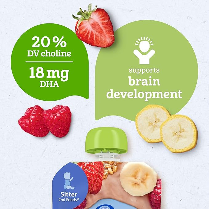 Gerber Organic 2nd Foods, Bananas, Red Berries & Granola Pureed Baby Food, 3.5 Ounce Pouch, 12 count