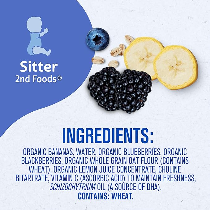 Gerber Organic Baby Food Pouches, 2nd Foods for Sitter, WonderFoods, Banana Blueberry Blackberry Oatmeal, 3.5 Ounce (Pack of 12)